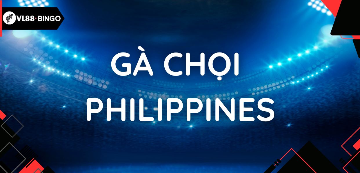 Gà chọi Philippines - Biểu tượng đá gà của đảo quốc vạn đảo