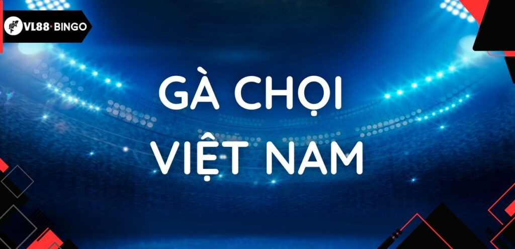 Gà chọi Việt Nam - Giống gà đá thiện chiến oai hùng